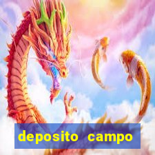 deposito campo grande santos